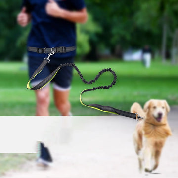 Cinturón para pasear perros con correa desmontable a prueba de golpes